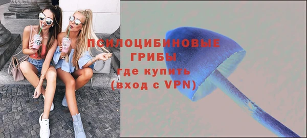 амфетамин Богданович
