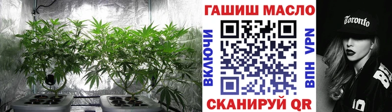 Купить  Нолинск  Дистиллят ТГК концентрат 
