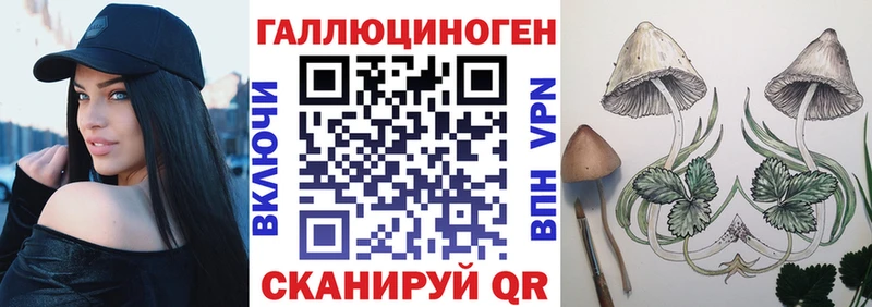 Псилоцибиновые грибы Psilocybine cubensis Купить закладки Нолинск